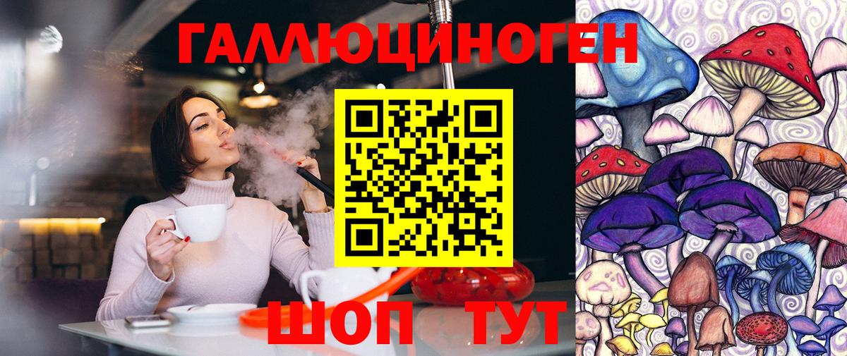 Псилоцибиновые грибы Psilocybe Сунжа